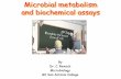 Microbial metabolism and biochemical assays 1/pdf micro lectures/micro... · Microbial metabolism and biochemical assays By Dr. C. Rexach Microbiology Mt San Antonio College. ...