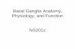 Basal Ganglia Anatomy, Physiology, and Function NS201c Basal Ganglia-Kreitzer.pdfPhysiology of Basal Ganglia: Striatal Synaptic Plasticity Regulates Circuitry • Striatum is the major