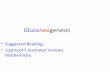 Gluconeogenesis - JU Medicine · ≈ 75 g ( liver glycogen); enough for 16 hours ≈ 400 g (muscle glycogen); for muscle use only Main source of energy for resting muscle in postabsobtive