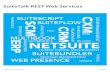 SuiteTalk REST Web Services (Beta)...report to Oracle any defects, errors or other problems in beta features to support@netsuite.com or other designated contact for the specific beta