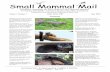 for CCINSA & RISCINSA -- Chiroptera, Rodentia, Insectivora ... Mammal Mail - Bi-Annual Newsletter of CCINSA and...Tahsinur Rahman Shihan, Pp. 18-19 Sighting of Asian Small-clawed Otter:
