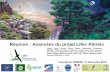 Réunion: Avancées du projet Life+ Pétrelsoiseaux-marins.org/.../102_Reunion_LifePetrel_RESOM2019_compressed.pdf · ENDEMIC PETRELS… Conservation urgency… Barau’s petrel Mascarene