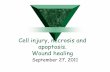 Cell injury, necrosis and apoptosis. Wound healing...Cell survival and death The balance between cell survival and death is under tight genetic control. A multiplicity of extracellular