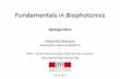 Fundamentals in Biophotonics · 2019-02-24 · Fundamentals in Biophotonics Optogentics Aleksandra Radenovic aleksandra.radenovic@epfl.ch EPFL –Ecole Polytechnique Federale …