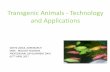 Transgenic Animals - Technology and Applicationsdhuk0q2s1npik.cloudfront.net/1002/goetz-liable-agresearch-pd-teachers... · CLONING BY NUCLEAR TRANSFER. Dolly the sheep, 1996. Wells