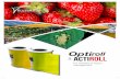 For Whitefly & Aphid management - Hortidaily...Russell IPM has developed new versions of its yellow sticky rolls. The new yellow traps, Actiroll and Optiroll show improved attraction