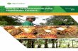 Overview of Indonesian Oil Palm November Smallholder …Overview of Indonesian Oil Palm Smallholder armers A Typology of Organizational Models, Needs, and Investment Opportunities