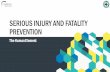 SERIOUS INJURY AND FATALITY PREVENTIONLIFE Terminology • LIFE Incidents = an actual Life-changing Injury or Fatality Event • LIFE potentials (pLIFE) = a potential LIFE incident