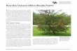 ID-89: How Dry Seasons Affect Woody Plants · 2017-07-12 · How Dry Seasons Affect Woody Plants Nicole Ward Gauthier, Plant Pathology, and Susan Fox and Kathy Wimberley, Horticulture