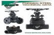 FORGED STEEL TECHNICAL DATA - Beric Valves · 2019-09-19 · equivalent API 602 trim designation 2. Not all options are available in combinations. Please consult Beric Valves. Minimum