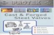  · ANSI B16.34, API 600 API 603 API 61) BS 1868 ANSI B16.10 API ANSI Bl&5 API 598 API 6D . FORGED Steel Gate Globe & Check Valves PROTEK Forged Steel Valves are available in three