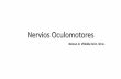 Nervios Oculomotores - Universidad Icesi · CN 11 CN 111 CN CN Cranial Nerve Names and Main Functions NAME Olfactory nerve Optic nerve Oculomotor nerve Trochlear nerve Trigeminal