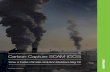Carbon Capture SCAM (CCS) - Greenpeace · CCS is a tempting solution for decisionmakers who prioritize the next election over leadership. CCS al-lows politicians to call for action