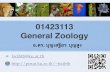 01423113 General Zoology - Kasetsart Universitypirun.ku.ac.th/~fscibtb/Boonsatien/01423113_General... · 2012-06-11 · Animal Diversity Entomology Apiology Arachnology Malacology