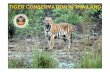 TIGER CONSERVATION IN THAILAND - CLAWSrelate to tigers and tiger prey. 1.5 Increase national and international efforts to suppress the production, trade and consumption of products