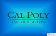 Irrigation Training and - EconAlliance · Irrigation Training and Research Center California Polytechnic State University San Luis Obispo