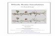 Whole Brain Emulation - Future of Humanity Institute · 2016-09-20 · Whole brain emulation (WBE), the possible future one‐to‐one modelling of the function of the human brain,
