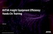 AVEVA Insight Equipment Efficiency Hands-On Training · 2019-09-25 · "Required" Elements: Equipment NONE. NONE: Equipment State NONE. NONE "Optional" Elements: Utilization Reasons