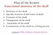 Plan of the lecture Functional anatomy of the skull...Plan of the lecture Functional anatomy of the skull 1. Divisions of the skull 2. Specific features of the bones of skull 3. Variants
