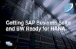 Getting SAP Business Suite and BW Ready for HANA...Response times on most SAP supplied interactive transactions 50% to 1000% improvement Some transactions blisteringly fast MB51 before