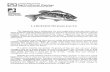 agrilifecdn.tamu.eduagrilifecdn.tamu.edu/fisheries/files/2013/09/Largemouth-Bass-Facts.pdf · LARGEMOUTH BASS FACTS The largemouth bass is indisputably the most sought-after freshwater