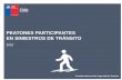 PEATONES PARTICIPANTES EN SINIESTROS DE TRÁNSITO · Las comunas con mayor cantidad de peatones fallecidos fueron Puerto Montt (19 fallecidos), Viña del Mar (14 fallecidos) y Maipú