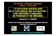 LA DATATION MOLÉCULAIRE DE LA PHYLOGÉNIE DES …desdevises.free.fr/Adaphyl/Adaptation_et_Phylo... · LA DATATION MOLÉCULAIRE DE LA PHYLOGÉNIE DES EUCARYOTES : UNE HISTOIRE D'HORLOGES,