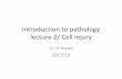 Introduction to pathology lecture 2/ Cell injury · Introduction to pathology lecture 2/ Cell injury Dr H Awad 2017/18. Normal cellular state •Cells normally maintain a steady state