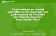 Observations on recent surveillance for Anoplophora ... · Observations on recent surveillance for Anoplophora glabripennis by Forestry Commission England Tree Health Team Barnaby