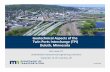 Geotechnical Aspects of the Twin Ports Interchange (TPI) Duluth, … MWGC... · 2019-09-26 · Geotechnical Aspects of the Twin Ports Interchange (TPI) Duluth, Minnesota Rich Lamb,