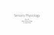 Sensory Physiology - Napa Valley Collegenapavalley.edu/people/aross/Documents/Lec11_Sensory_219.pdf · Sensory Physiology Bio 219 Napa Valley College Dr. Adam Ross. Sensory Receptor