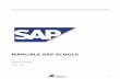 MANUALE SAP SCUOLE - Copiax - Vivoscuola · Con un doppio click sull’icona SAP Logon si apre la seguente schermata con l’elenco dei sistemi SAP accessibili all’utente. Qui si