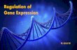 Regulation of Gene Expression - KSU · • Genetics is the scientific study of heredity and variation. ... Genes are chemical basis of hereditary, lies on chromosomes, and are made