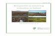 Best Practice in Raised Bog Restoration · practice in raised bog restoration in Ireland. Irish Wildlife Manuals, No. 99. National Parks and Wildlife Service, Department of Culture,