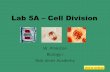 Lab 5A – Cell Division · ;%)*(%(#;%()5'2# • pqkr3#8rps/k"# • c&#)>2#&2d)#(,%62#5=2#(2b2=5,#42,,(#%&# %&)2=?>5(2m?=*?>5(2#5&6#*&2#42,,#%&#7%)*(%("## 15 8,%4'#)*#4*&9&:2"#