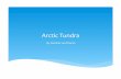 ArcticTundra Dominic Doran - Minneapolis Public Schoolsnorthrop.mpls.k12.mn.us/uploads/arctictundra_dominic_doran.pdfThe&Tundra&location:& The tundra is the youngest biome formed 100,000