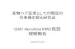 GMF AeroAsia MRO施設 視察報告 · 5．GMF AeroAsiaの視察報告 •スカルノ・ハッタ空港内に立地し、敷地面積は97．2ha（関空敷地面積の1割弱）