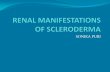 RENAL MANIFESTATIONS OF SCLERODERMA · Postulated that scleroderma vasculopathy exacerbates interaction of ANCA with endothelium near vascular pole with neutrophil activation in glomerulus.