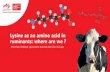 Lysine as an amino acid in ruminants: where are we · Recommendation for AA balancing during lactation •Met 2.3-2.6 %MP •Lys 6.8-7.2 %MP •Lys/Met ratio 2.6 to 3 Optimum for