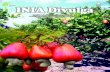 ENERO INIA Divulga · Revista de difusión de tecnologíaRevista de difusión de tecnología agrícola, pecuaria, pesquera y acuícolaagrícola, pecuaria, pesquera y acuícola 4 ENERO