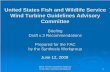 United States Fish and Wildlife Service Wind Turbine ......Wind Turbine Guidelines Advisory Committee Synthesis Workgroup 1 United States Fish and Wildlife Service Wind Turbine Guidelines