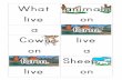 What Animals Live on a Farm? - Lanternfish ESL · Web viewWhat Animals Live on a Farm? Subject Farm Animals ESL Author Chris Gunn Last modified by chris and sunmi Created Date 11/2/2014