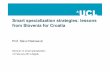 Smart specialization strategies: lessons from Slovenia for ...regionalna-konkurentnost.hr/userdocsimages/Iskustva_Slovenije.pdf · Smart specialization strategies: lessons from Slovenia