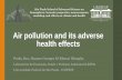 Air pollution and its adverse health effectslfa.if.usp.br/ftp/public/2019SPSAS/Roundtable_Miraglia.pdf · 2019-07-29 · Air pollution and its adverse health effects Profa. Dra. Simone