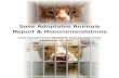 Save Adoptable Animals - Lane County · 08 Enhanced Adoption Program: Promote adoption through implementing both internal and external policies and procedures, including regular off-site