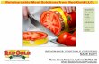 Reimbursable Meal Solutions from Red Gold LLC....Reimbursable Meal Solutions from Red Gold LLC. RED/ORANGE VEGETABLE CREDITING MADE EASY! Many Great Reasons to Serve POPULAR Shelf
