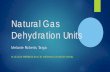 Natural Gas Dehydration Units - env.nm.gov · Types of Dehydration Found in Natural Gas Gathering System Solid Desiccant, Molecular Sieve, Dehydration Beds Typically only found at