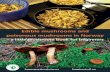 Edible mushrooms and poisonous mushrooms in Norway · 10 Edible mushrooms and poisonous mushrooms in Norway Photo: IK Skrubber (Leccinum) Skrubber (Leccinum spp.) is a group of fleshy