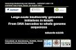 Large-scale biodiversity genomics initiatives in Brazil: From DNA ... · genome center networks and bioinformatics advances. - 6 museums, 14 Centers of Molecular Biodiversity, ~300