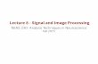 Lecture 8 - Signal and Image Processing Image Processing â€¢ Many image processing algorithms are 2D